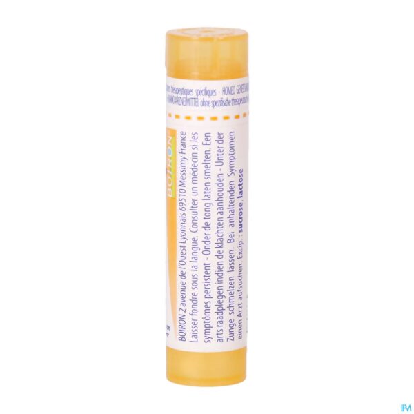 Packshot Thyroidinum 15ch Gr 4g Boiron