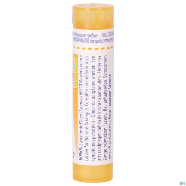 Packshot Thyroidinum 15ch Gr 4g Boiron