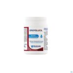 Packshot Ergyglucil Caps 60