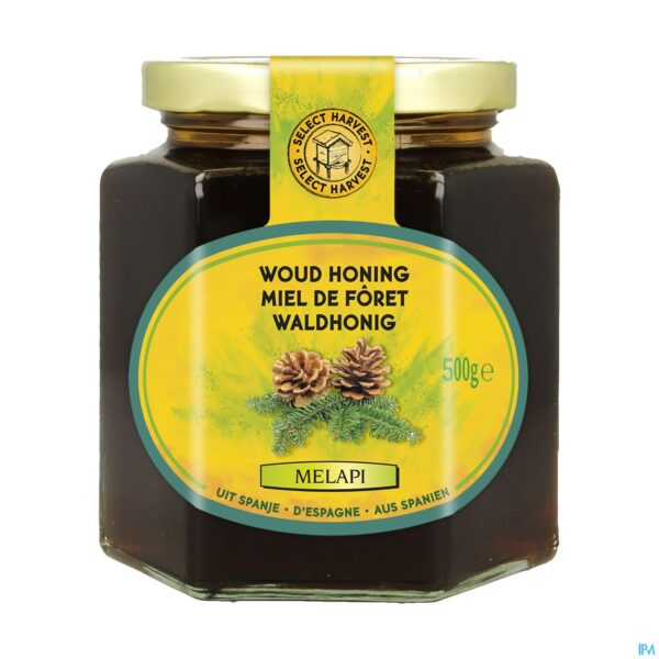 Packshot Melapi Honing Woud Vloeibaar 500g Revogan