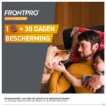 Lifestyle_image Frontpro 11mg >2-4kg Hond Kauwtabl 3 Lifestyle_image Frontpro 11mg >2-4kg Hond Kauwtabl 3