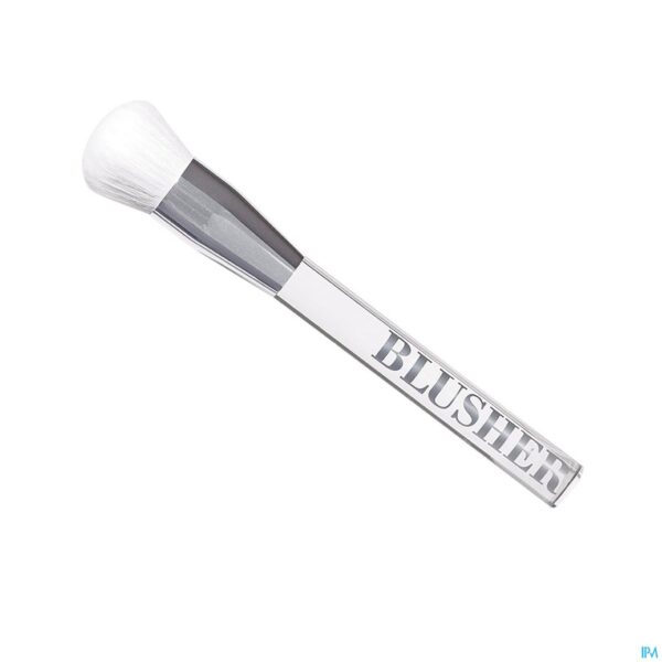 Productshot Cent Pur Cent Brush Camille Blusher