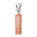Packshot Panda Tea Hydratation Perzik Bruistabl 20