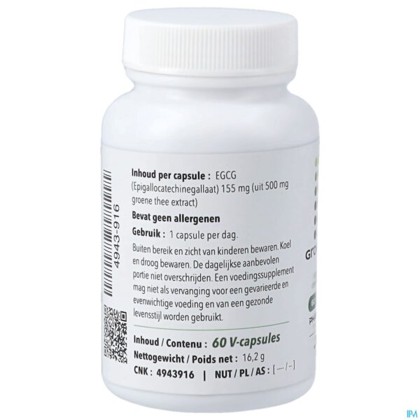 Packshot Groene Thee 500 V-caps 60 Pharmanutrics