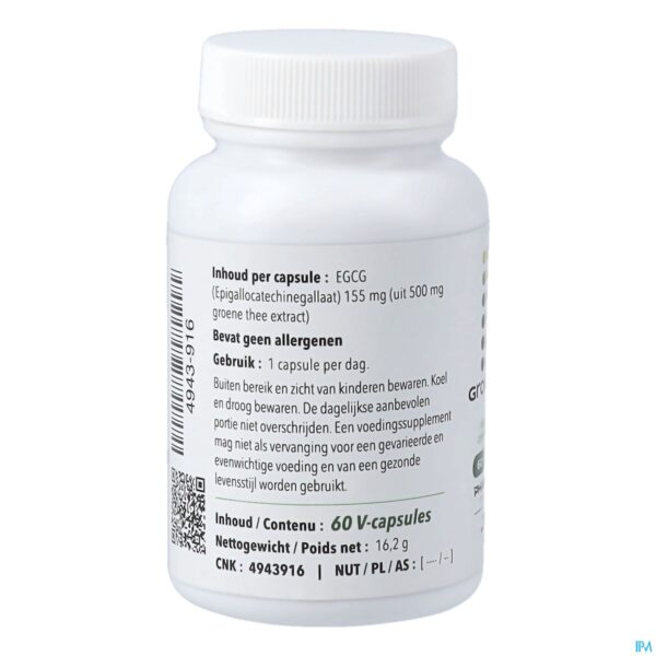Packshot Groene Thee 500 V-caps 60 Pharmanutrics
