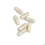Pillshot Samethylate Plus Biotics Caps 120