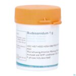 Packshot Budesonide 1g Magis