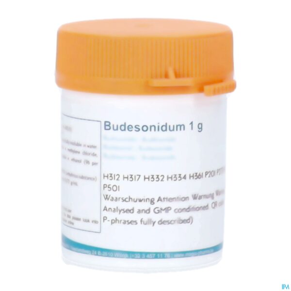 Packshot Budesonide 1g Magis