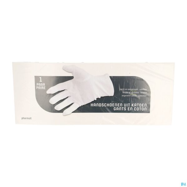 Packshot Pharmex Handschoen Katoen Small 2