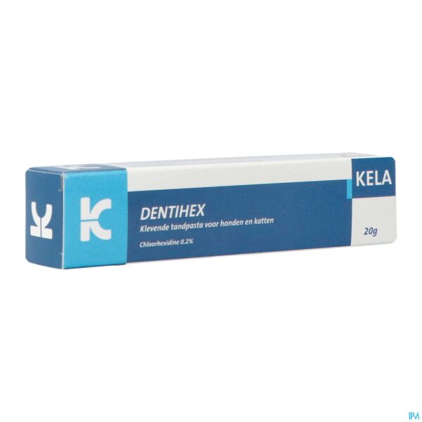 Packshot Dentihex Tube 20g