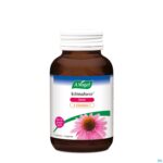 Productshot A.vogel Echinaforce Forte + Vitamine C Tabl 100 Productshot A.vogel Echinaforce Forte + Vitamine C Tabl 100