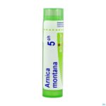 Packshot Arnica Montana 5ch Gr 4g Boiron