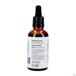 Packshot Ribes Nigrum Druppels 50ml Pharmanutrics