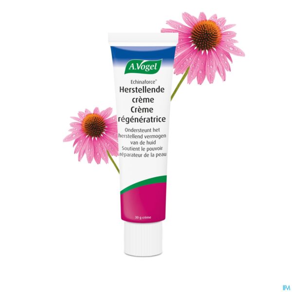Lifestyle_image A.vogel Creme Echinaforce 30ml Nf