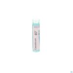 Packshot Causticum Hahnemanni 7ch Gr 4g Boiron