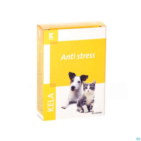 Packshot Anti Stress Comp 60 Packshot Anti Stress Comp 60