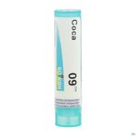Packshot Coca 9ch Gr 4g Boiron