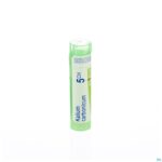 Packshot Kalium Carbonicum 5ch Gr 4g Boiron