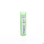 Packshot Pyrogenium 5ch Gr 4g Boiron