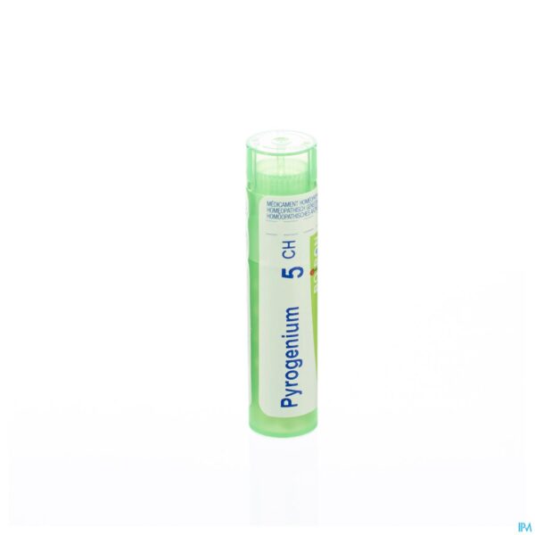 Packshot Pyrogenium 5ch Gr 4g Boiron