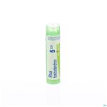 Packshot Rhus Toxicodendron 5ch Gr 4g Boiron