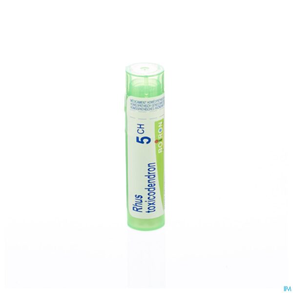 Packshot Rhus Toxicodendron 5ch Gr 4g Boiron