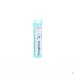 Packshot Phosphorus 30k Gr 4g Boiron