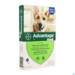 Packshot Advantage 400 Honden 25<40kg 4x4ml Packshot Advantage 400 Honden 25