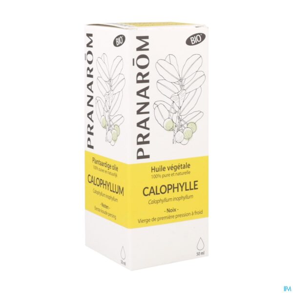 Packshot Pranarom Po Calophyllus Bio 50ml Packshot Pranarom Po Calophyllus Bio 50ml