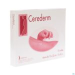 Packshot Cerederm Pleister Silic Anker 13x22cm 10 4309697