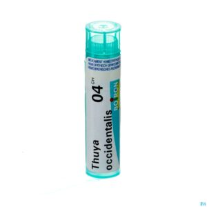 Packshot Thuya Occidentalis 4ch Gr 4g Boiron