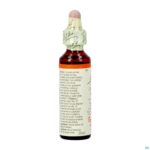 Packshot Bach Flower Remedie 06 Cherry Plum 20ml