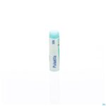 Packshot Pulsatilla Mk Gl Boiron