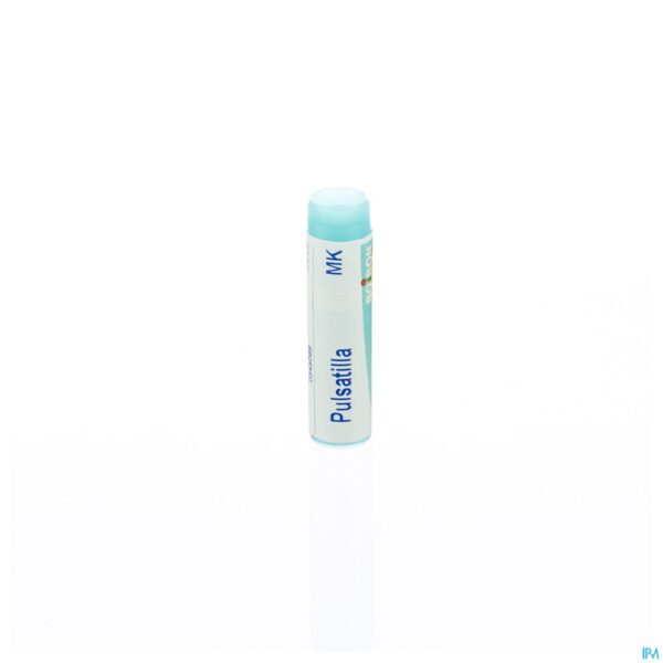 Packshot Pulsatilla Mk Gl Boiron