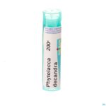 Packshot Phytolacca Decandra 200k Gr 4g Boiron