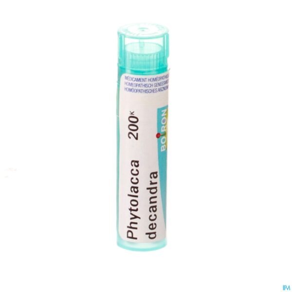 Packshot Phytolacca Decandra 200k Gr 4g Boiron