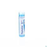 Packshot Thymuline 9ch Gr 4g Boiron