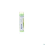 Packshot Bryonia 5ch Gr 4g Boiron