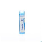 Packshot Pulsatilla 9ch Gr 4g Boiron