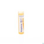 Packshot Phosphorus 15ch Gr 4g Boiron