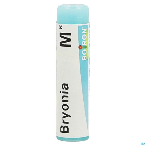 Packshot Bryonia Mk Gl Boiron