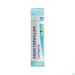 Productshot Arum Triphyllum Comp Gran Boiron