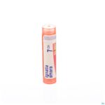 Packshot Ignatia Amara 7ch Gr 4g Boiron