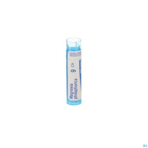 Packshot Magnesia Phosphorica 9ch Gr 4g Boiron
