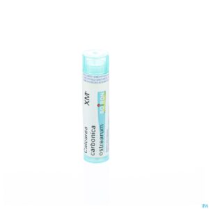 Packshot Calcarea Carbonica Ostrearum Xmk Gr 4g Boiron