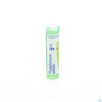 Packshot Phosphoricum Acidum 5ch Gr 4g Boiron