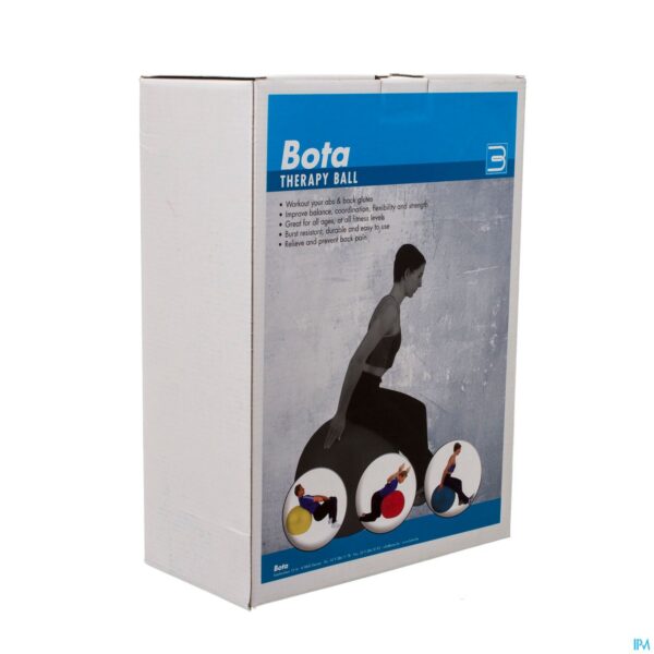 Packshot Jobri Exerswiss Therapy Bal 65cm 32300503