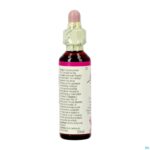 Packshot Bach Flower Remedie 22 Oak 20ml