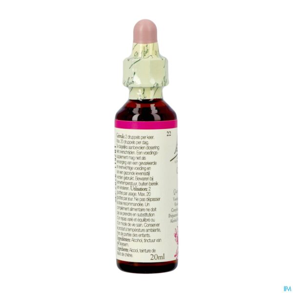 Packshot Bach Flower Remedie 22 Oak 20ml