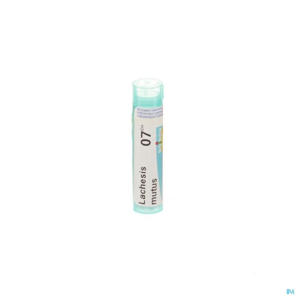 Packshot Lachesis Mutus 7ch Gr 4g Boiron